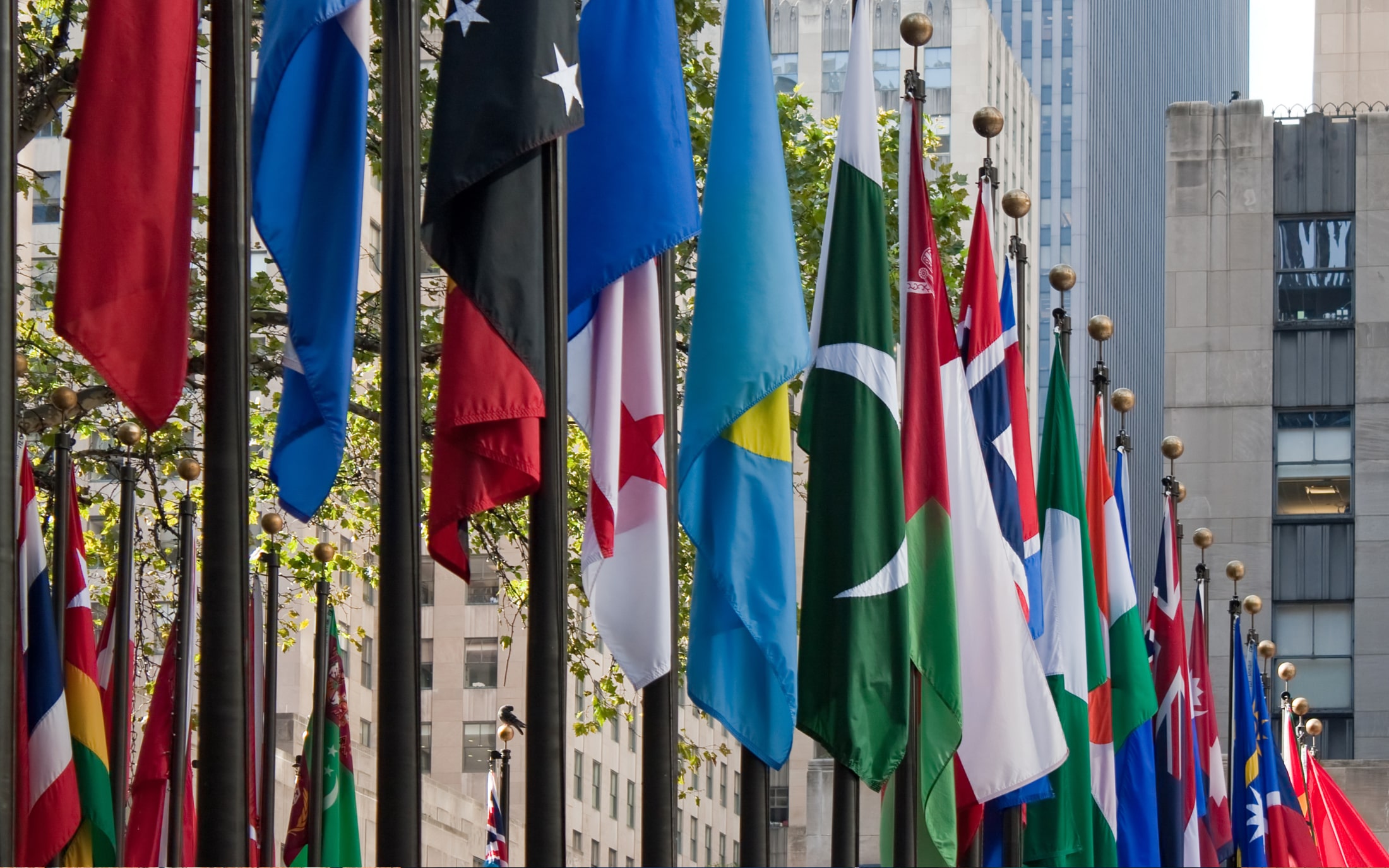 Photo of various flags